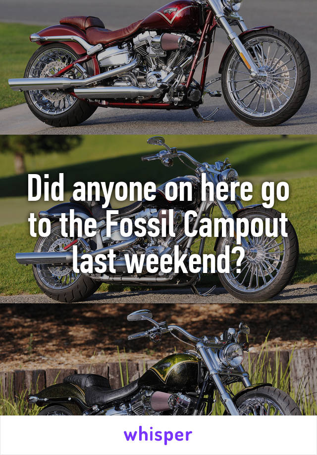 Did anyone on here go to the Fossil Campout last weekend?