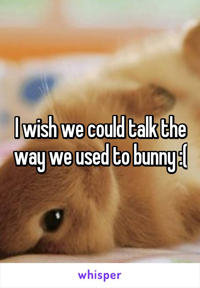 I wish we could talk the way we used to bunny :(