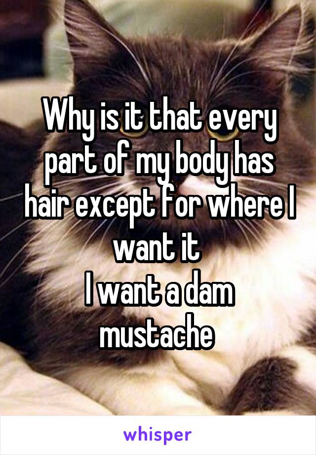 Why is it that every part of my body has hair except for where I want it 
I want a dam mustache 