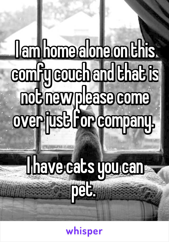 I am home alone on this comfy couch and that is not new please come over just for company. 

I have cats you can pet. 