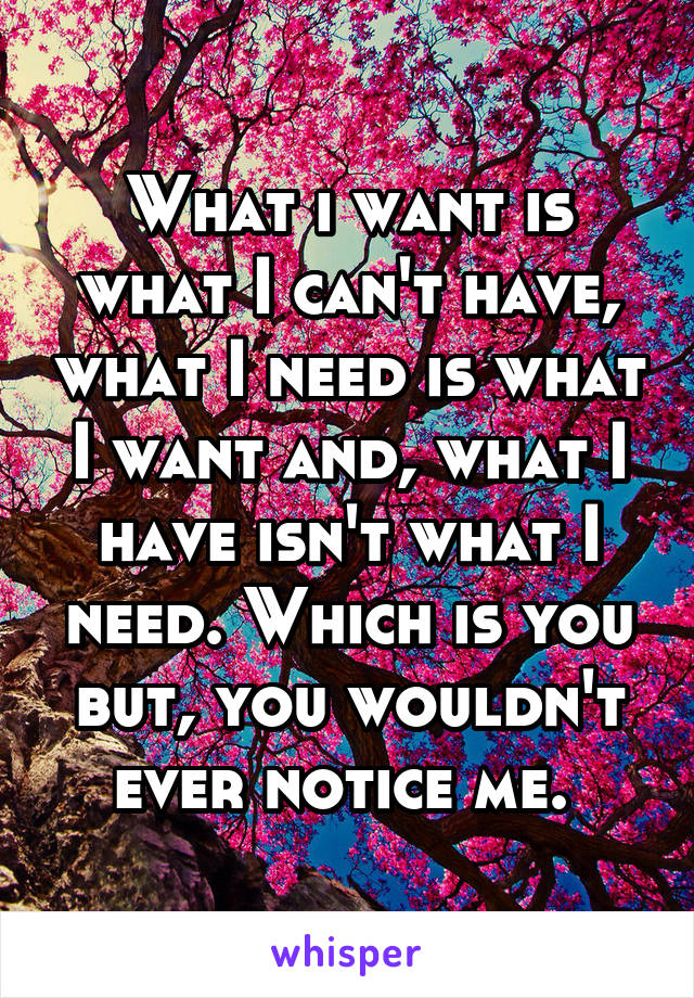 What i want is what I can't have, what I need is what I want and, what I have isn't what I need. Which is you but, you wouldn't ever notice me. 