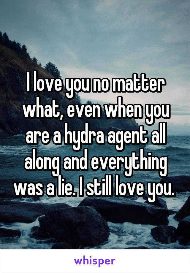 I love you no matter what, even when you are a hydra agent all along and everything was a lie. I still love you. 