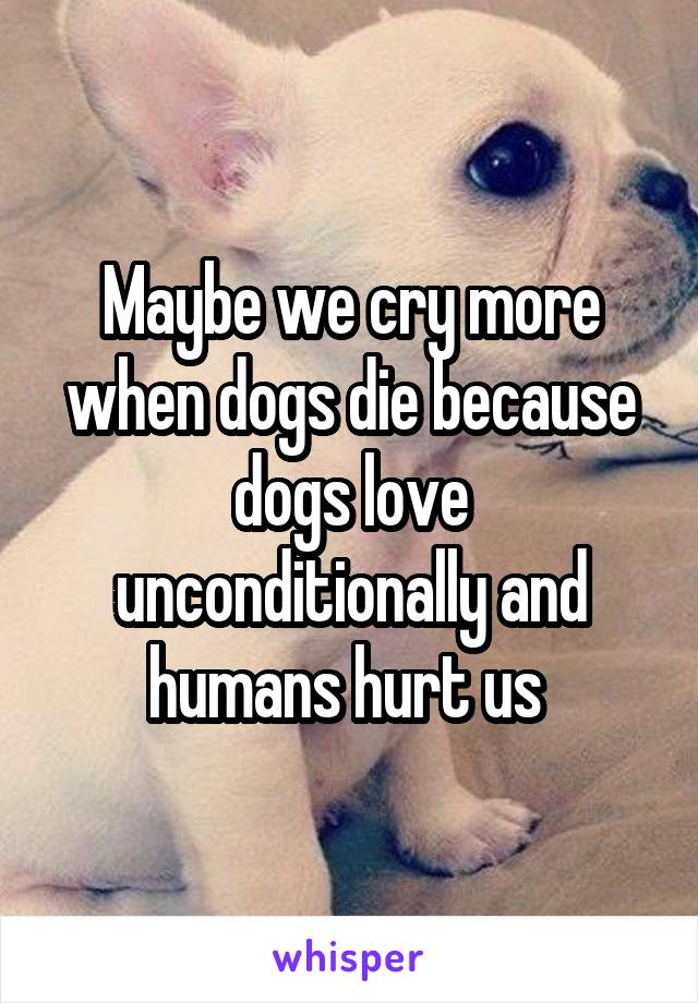 Maybe we cry more when dogs die because dogs love unconditionally and humans hurt us 