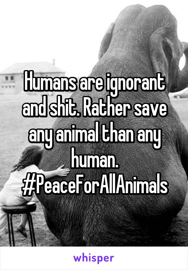 Humans are ignorant and shit. Rather save any animal than any human.
#PeaceForAllAnimals