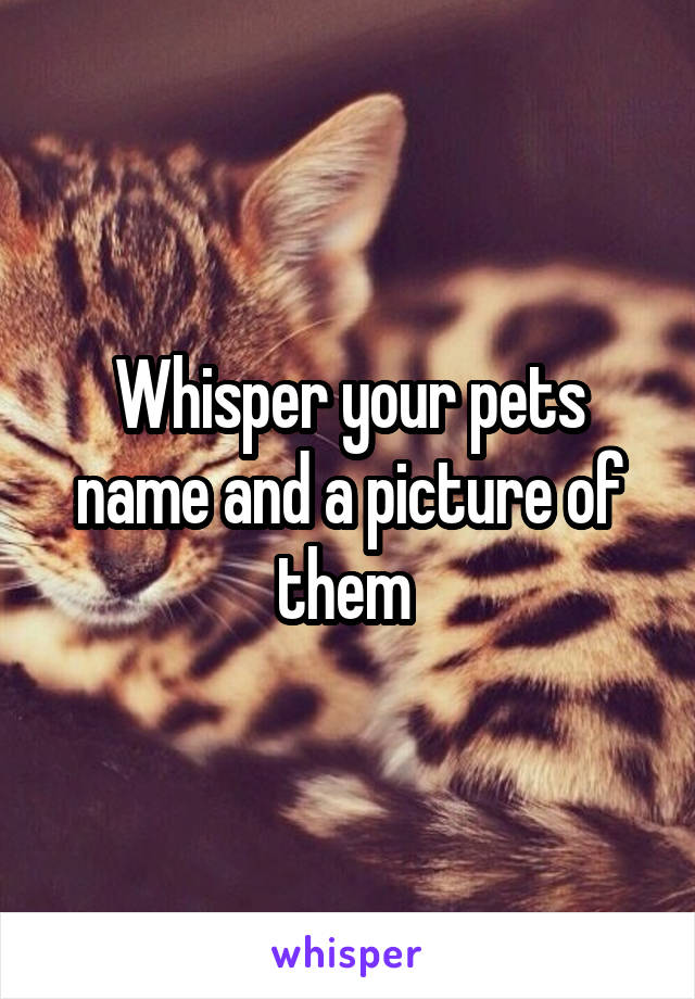 Whisper your pets name and a picture of them 