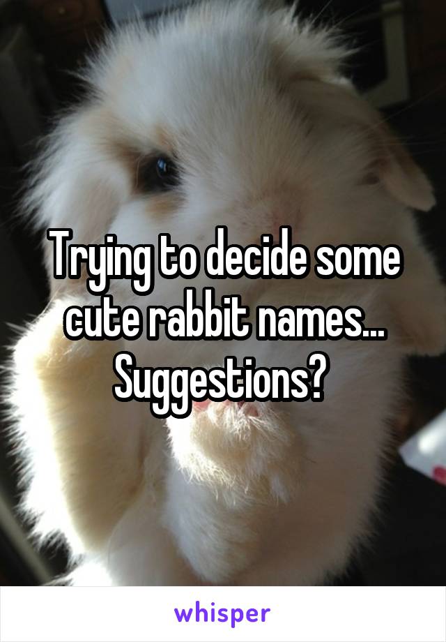 Trying to decide some cute rabbit names... Suggestions? 
