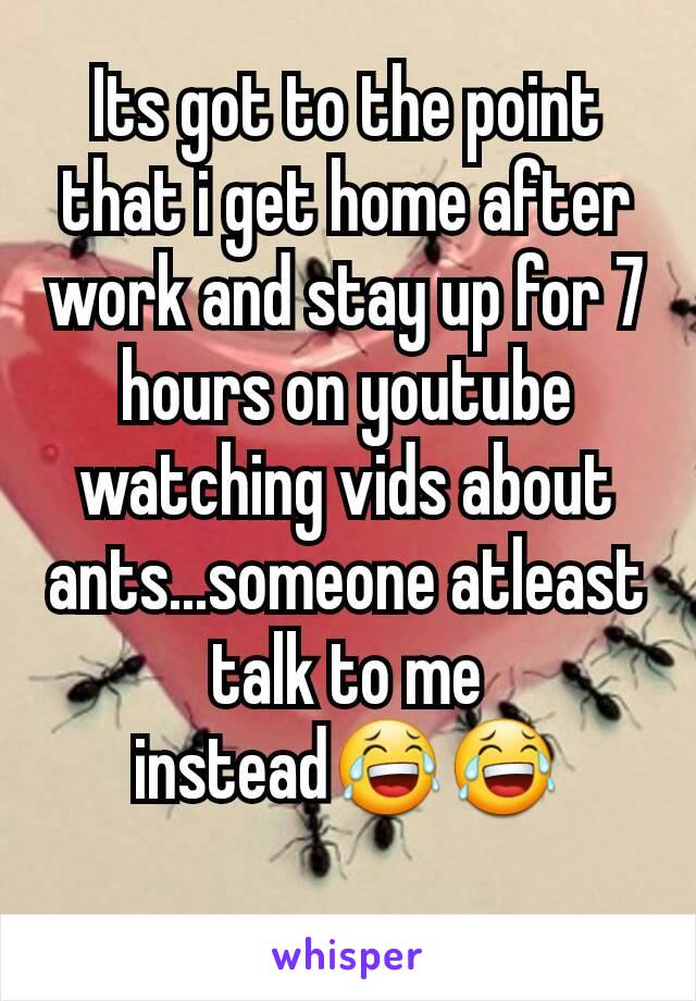 Its got to the point that i get home after work and stay up for 7 hours on youtube watching vids about ants...someone atleast talk to me instead😂😂