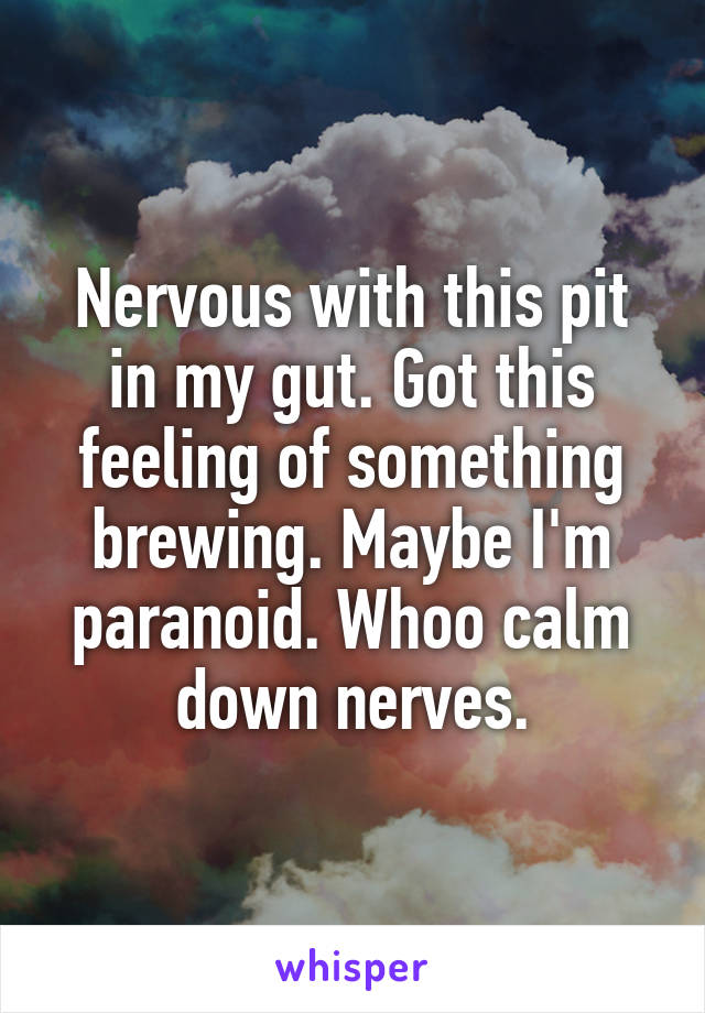 Nervous with this pit in my gut. Got this feeling of something brewing. Maybe I'm paranoid. Whoo calm down nerves.