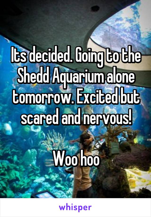 Its decided. Going to the Shedd Aquarium alone tomorrow. Excited but scared and nervous!

Woo hoo