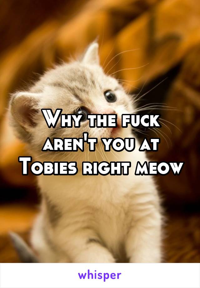 Why the fuck aren't you at Tobies right meow