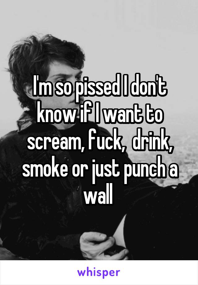 I'm so pissed I don't know if I want to scream, fuck,  drink, smoke or just punch a wall 