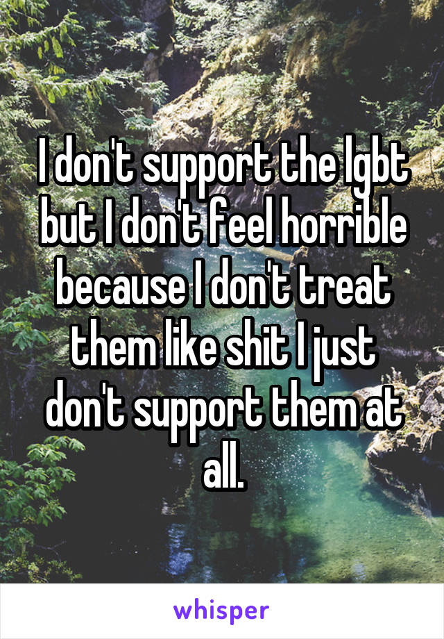 I don't support the lgbt but I don't feel horrible because I don't treat them like shit I just don't support them at all.
