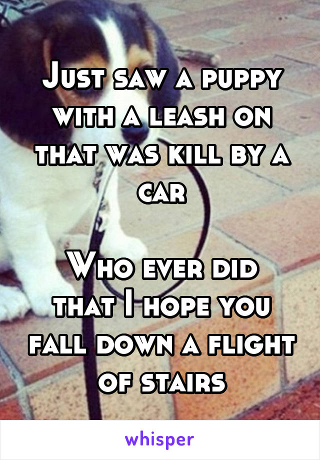 Just saw a puppy with a leash on that was kill by a car

Who ever did that I hope you fall down a flight of stairs