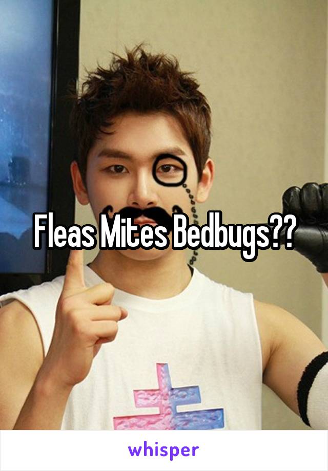 Fleas Mites Bedbugs??