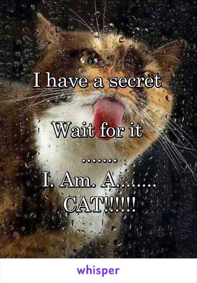 I have a secret 

Wait for it 
.......
I. Am. A........
CAT!!!!!!