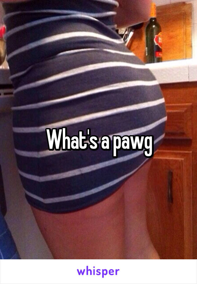 What's a pawg
