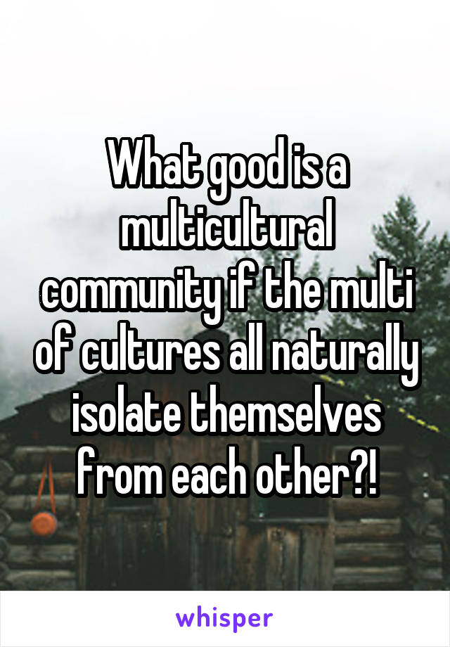 What good is a multicultural community if the multi of cultures all naturally isolate themselves from each other?!