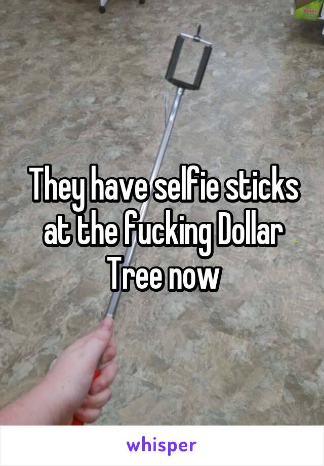 They have selfie sticks at the fucking Dollar Tree now