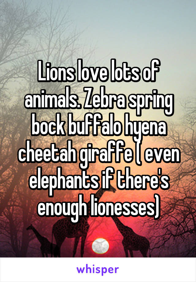 Lions love lots of animals. Zebra spring bock buffalo hyena cheetah giraffe ( even elephants if there's enough lionesses)