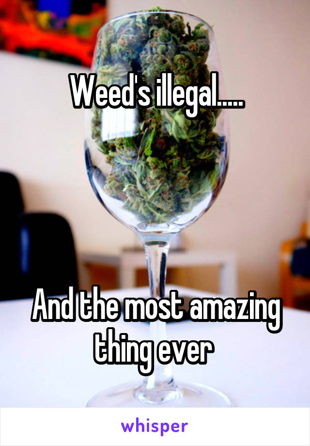 Weed's illegal.....




And the most amazing thing ever 