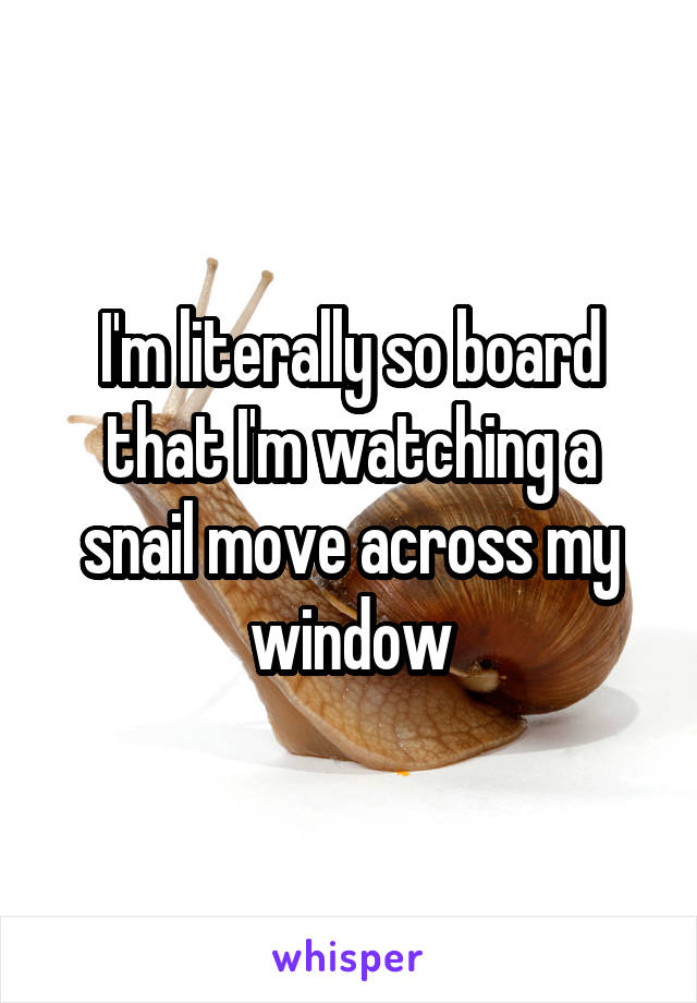 I'm literally so board that I'm watching a snail move across my window