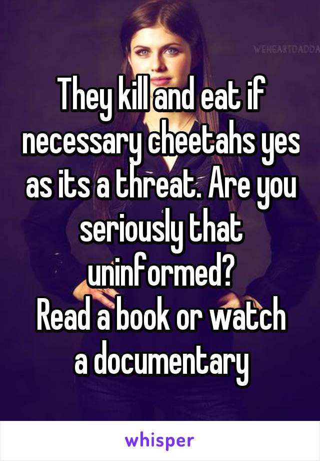 They kill and eat if necessary cheetahs yes as its a threat. Are you seriously that uninformed?
Read a book or watch a documentary