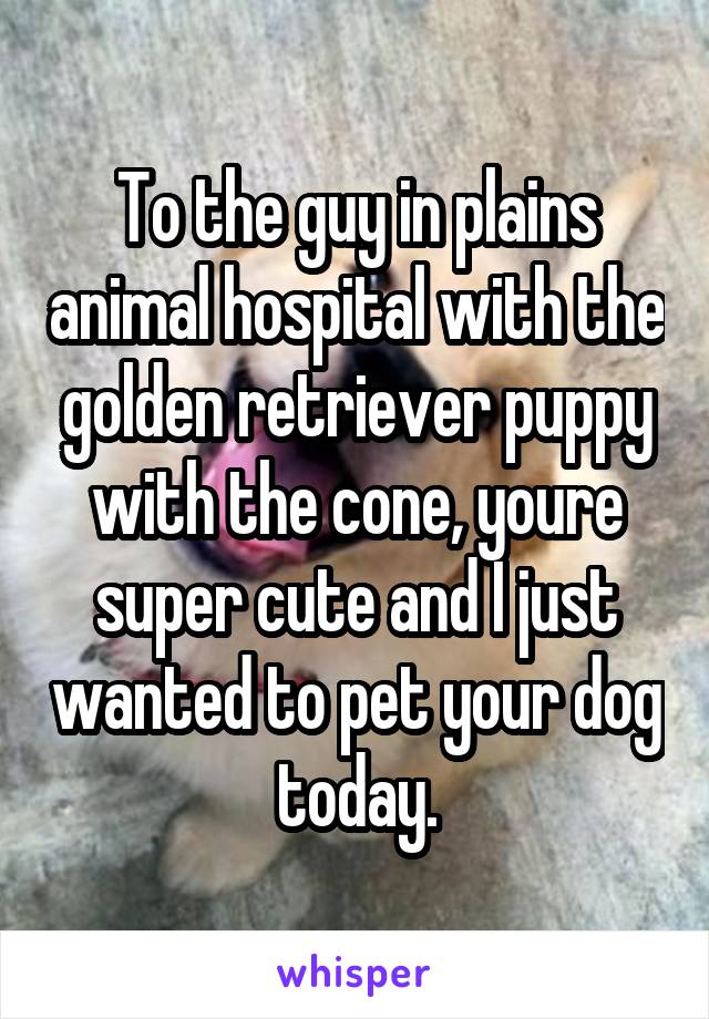 To the guy in plains animal hospital with the golden retriever puppy with the cone, youre super cute and I just wanted to pet your dog today.