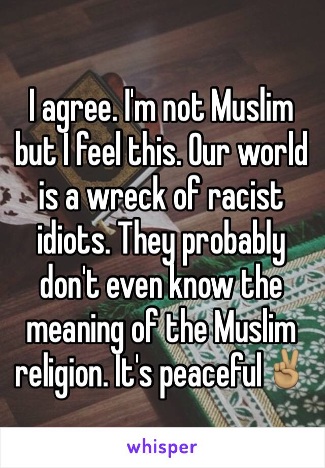 I agree. I'm not Muslim but I feel this. Our world is a wreck of racist idiots. They probably don't even know the meaning of the Muslim religion. It's peaceful✌🏽️