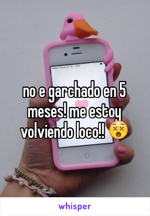 no e garchado en 5 meses! me estoy volviendo loco!! 😵