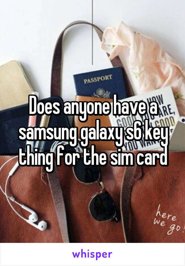 Does anyone have a samsung galaxy s6 key thing for the sim card