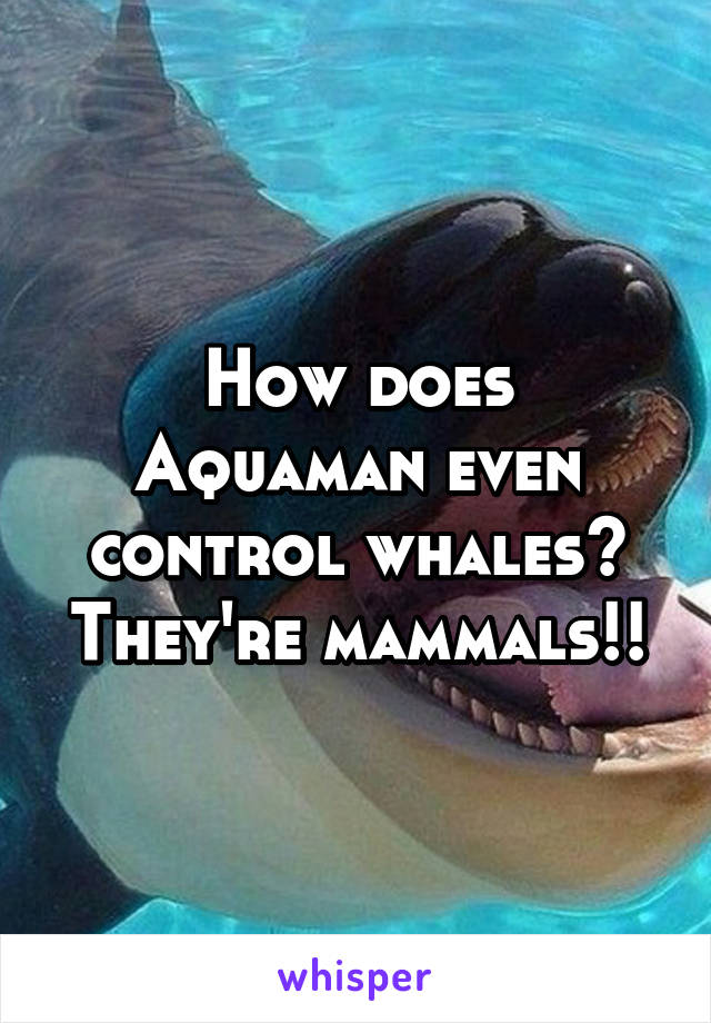 How does Aquaman even control whales? They're mammals!!