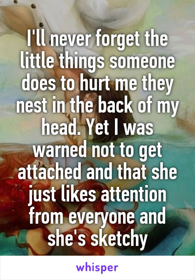 I'll never forget the little things someone does to hurt me they nest in the back of my head. Yet I was warned not to get attached and that she just likes attention from everyone and she's sketchy