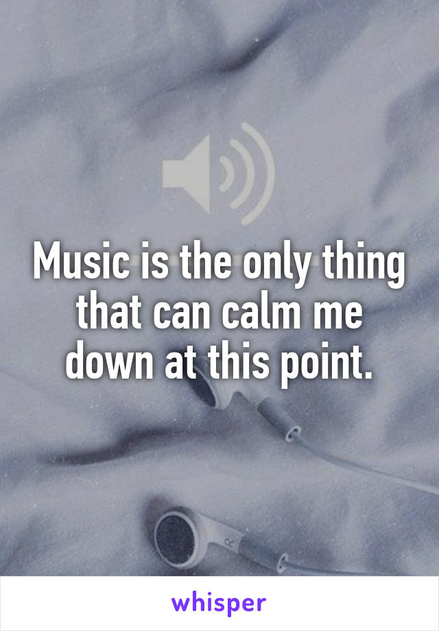 Music is the only thing that can calm me down at this point.