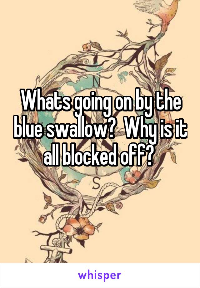 Whats going on by the blue swallow?  Why is it all blocked off? 
