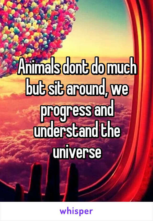 Animals dont do much but sit around, we progress and understand the universe