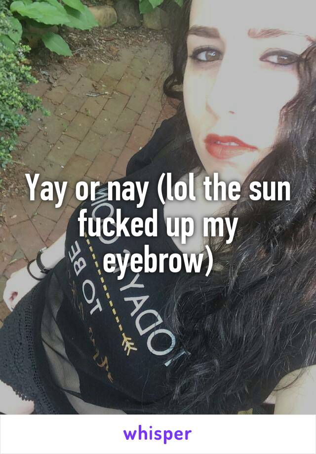 Yay or nay (lol the sun fucked up my eyebrow)