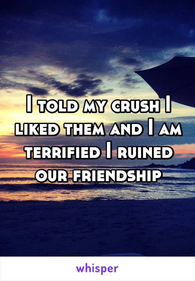 I told my crush I liked them and I am terrified I ruined our friendship