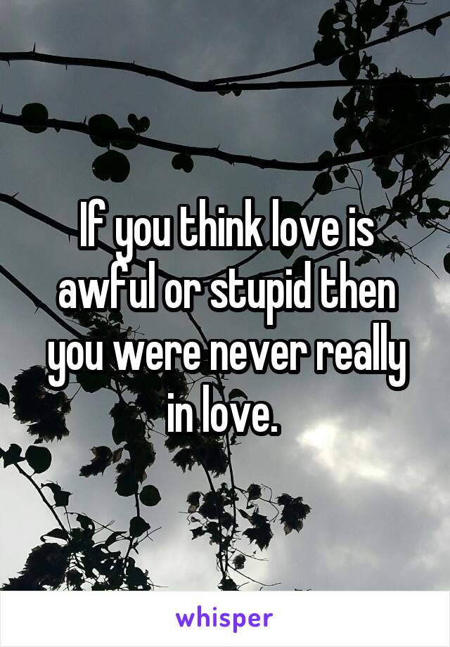 If you think love is awful or stupid then you were never really in love. 