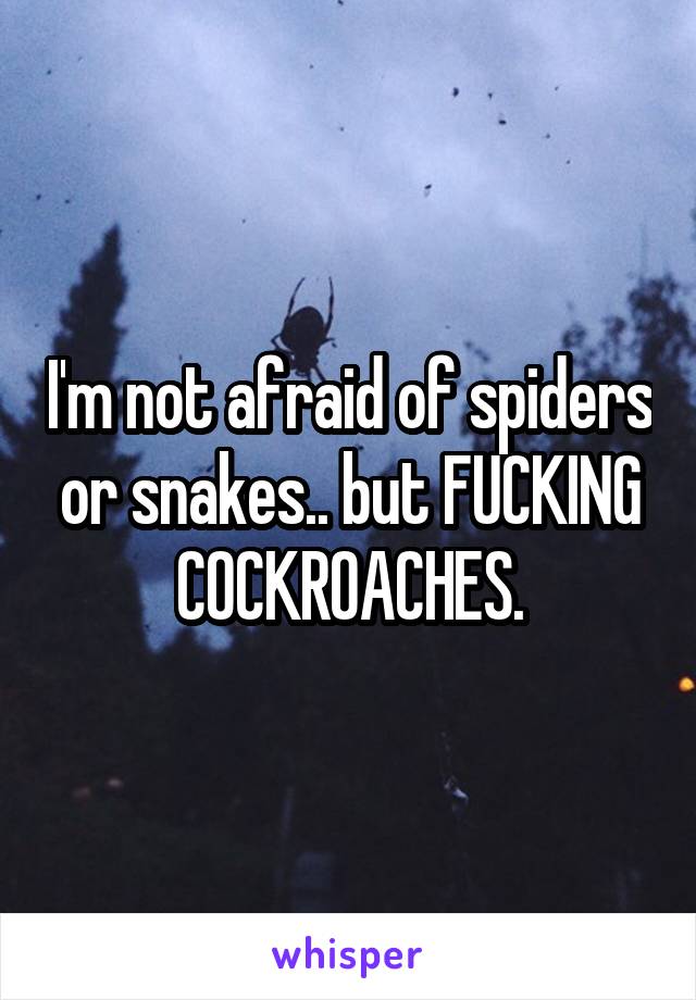 I'm not afraid of spiders or snakes.. but FUCKING COCKROACHES.