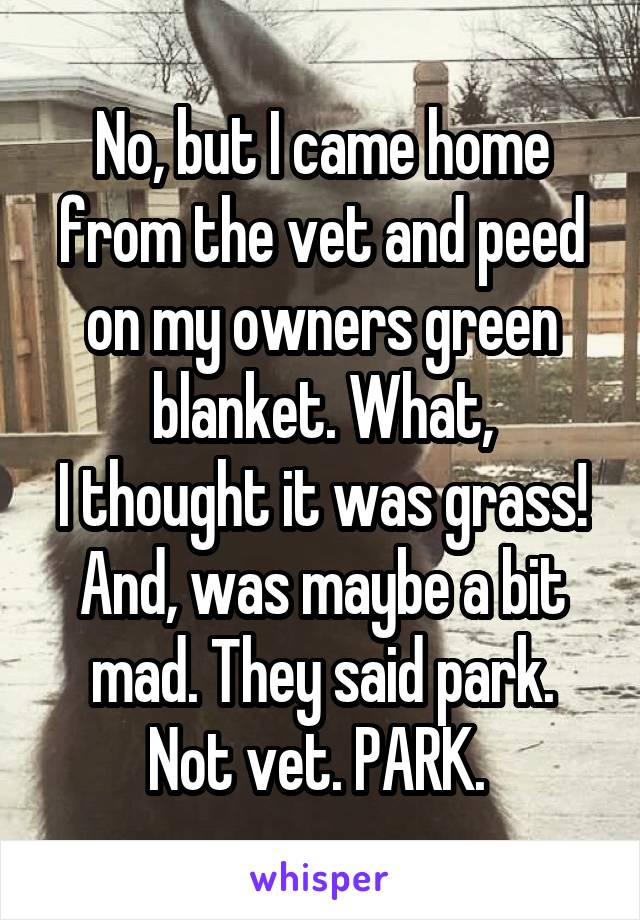 No, but I came home from the vet and peed on my owners green blanket. What,
I thought it was grass! And, was maybe a bit mad. They said park. Not vet. PARK. 