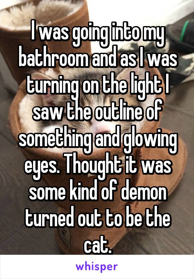 I was going into my bathroom and as I was turning on the light I saw the outline of something and glowing eyes. Thought it was some kind of demon turned out to be the cat.