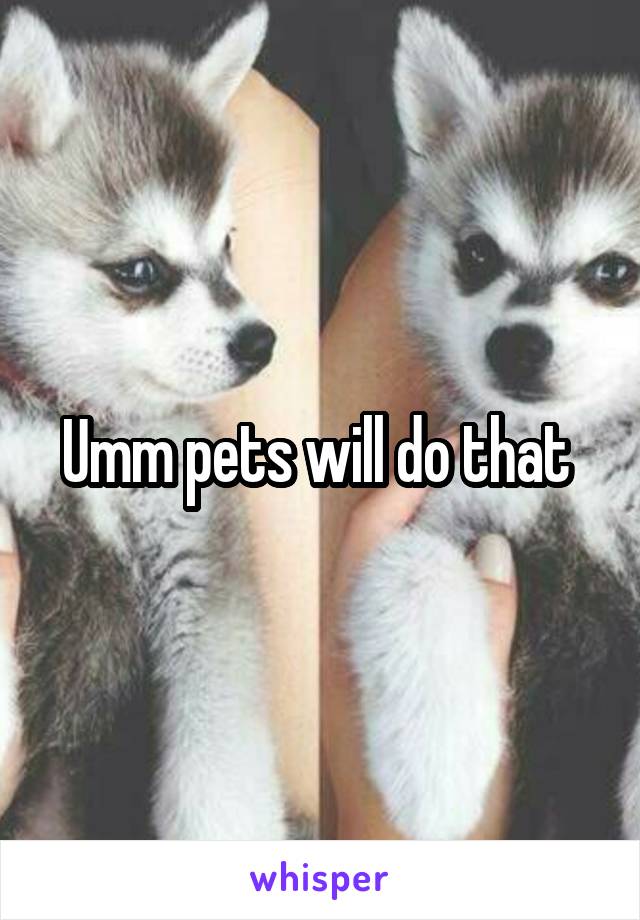 Umm pets will do that 