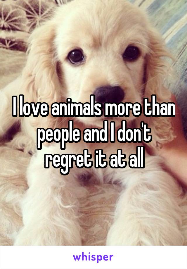 I love animals more than people and I don't regret it at all