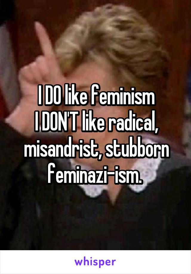 I DO like feminism
I DON'T like radical, misandrist, stubborn feminazi-ism. 