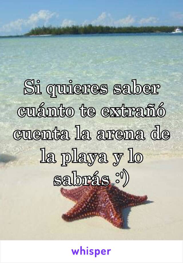 Si quieres saber cuánto te extrañó cuenta la arena de la playa y lo sabrás :')