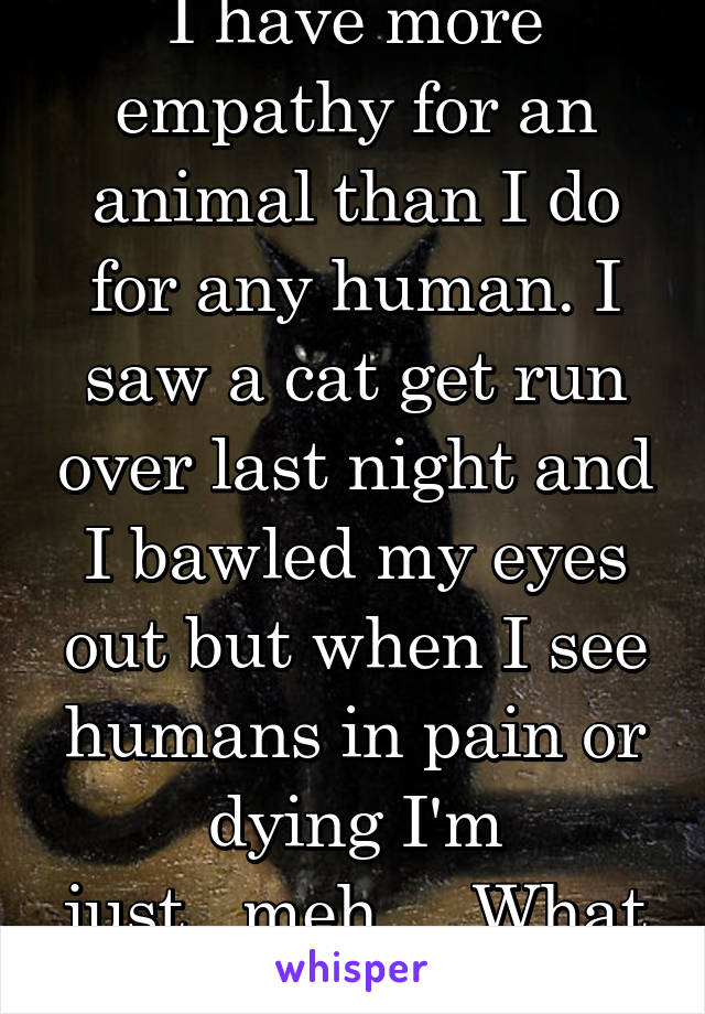 I have more empathy for an animal than I do for any human. I saw a cat get run over last night and I bawled my eyes out but when I see humans in pain or dying I'm just...meh.... What is wrong with me?