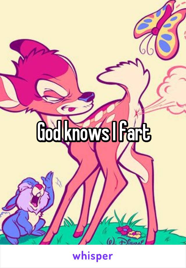 God knows I fart