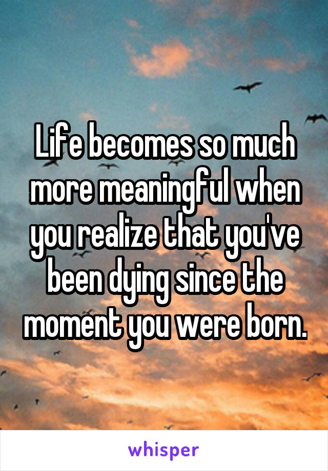 Life becomes so much more meaningful when you realize that you've been dying since the moment you were born.