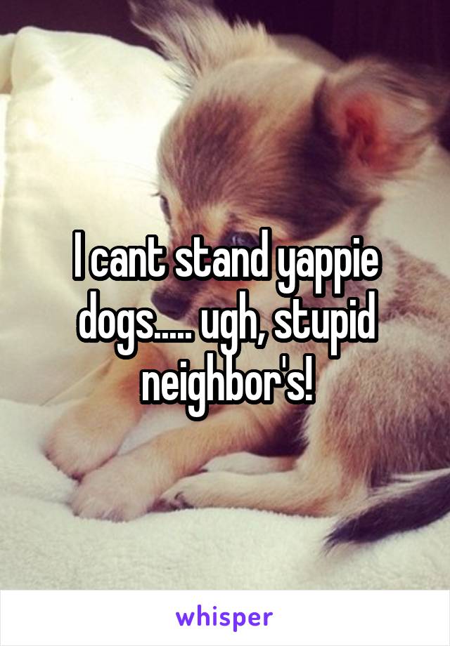 I cant stand yappie dogs..... ugh, stupid neighbor's!