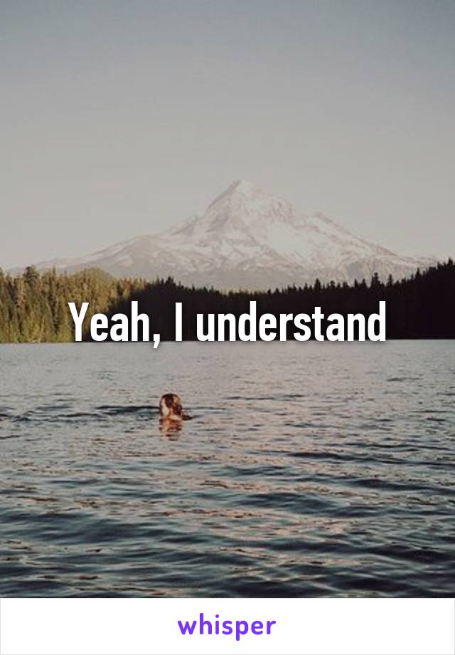 Yeah, I understand